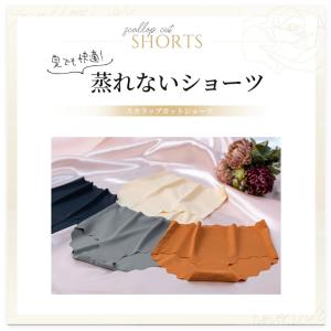 3枚セット ハイウエストショーツ レディース ...の詳細画像1