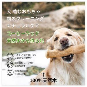 コーヒーウッド 犬 噛むおもちゃ コーヒーの木...の詳細画像1