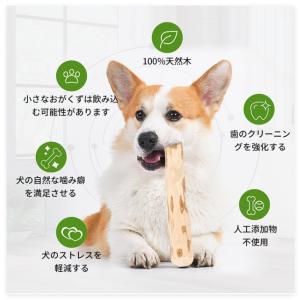 コーヒーウッド 犬 噛むおもちゃ コーヒーの木...の詳細画像2