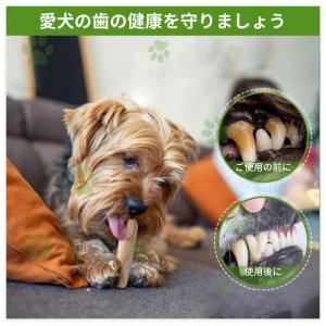 コーヒーウッド 犬 噛むおもちゃ コーヒーの木...の詳細画像3