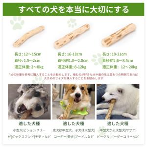 コーヒーウッド 犬 噛むおもちゃ コーヒーの木...の詳細画像5