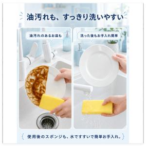 3個セット ダンプダスター ホコリ取りスポンジ...の詳細画像3