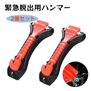 seikoyahuusyoppu_qi2031