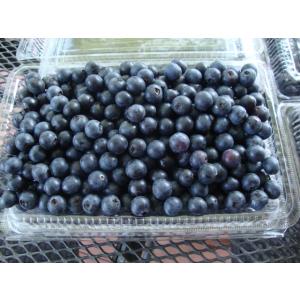ブルーベリー 3.0kg(500g×6パック)...の詳細画像2
