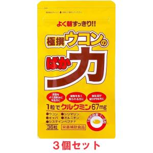 極撰ウコンのばか力（36粒）3個セット  選べる配送 ウコン クルクミン シルマリン オルニチン ギャバ｜seisei-shop