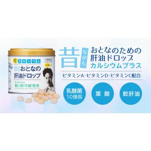 大人の肝油ドロップカルシウムプラス 100粒 ...の詳細画像1