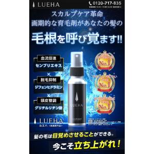 シンフォートの商品一覧 通販 Yahoo ショッピング