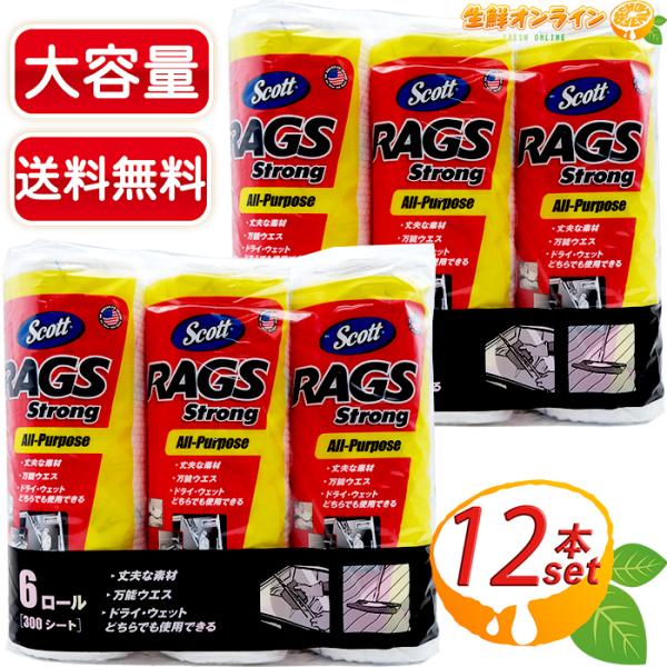 ≪12本セット≫【SCOTT】スコット ラグス ストロング RAGS Strong All-Purp...