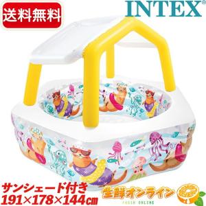 INTEX 【INTEX】インテックス カバー付 フレームプール 300×200×75cm