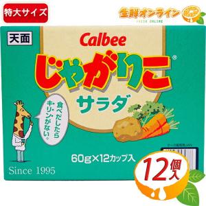 送料無料 カルビー じゃがりこサラダLサイズ 68g×48個 : 御用蔵 大川