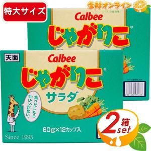 カルビー（Calbee） ≪12個入≫【Calbee】じゃがりこ サラダ 684g(57g