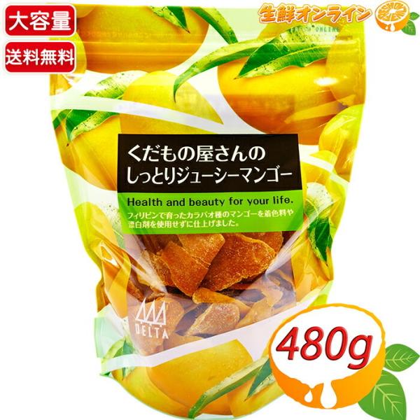 ≪480g≫【DELTA】くだもの屋さんのしっとりジューシーマンゴー 大容量 デルタインターナショナ...