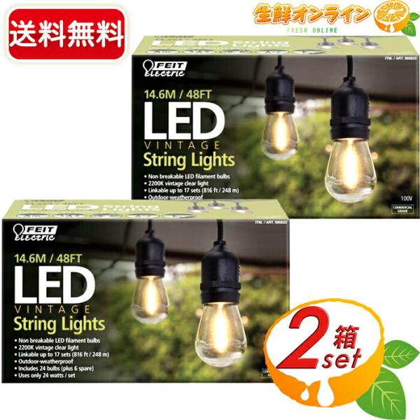 ≪2箱セット≫【FEIT Electric】LED string lights ストリングライト ◆...
