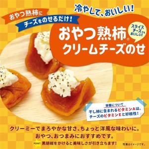 【Farmind】ファーマインド おやつ熟柿 ...の詳細画像3