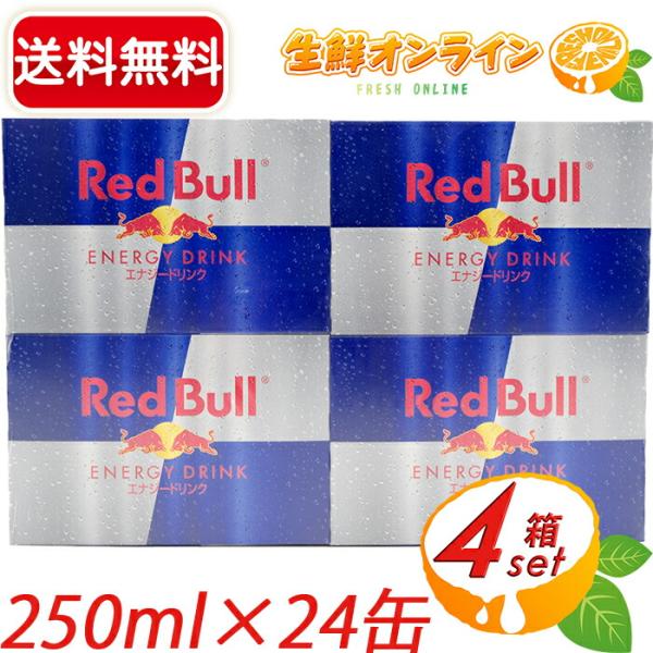 ≪250ml×24本≫【Red Bull】レッドブル エナジードリンク 大容量 24缶 炭酸飲料 ジ...
