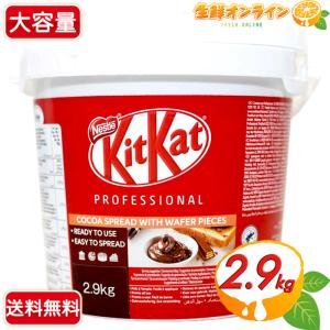 フェレロ　ヌテラ　チョコレートスプレッド（1kg×3個） nutella フェレロ ヌテラ 1kg ヘーゼル ナッツ チョコレート