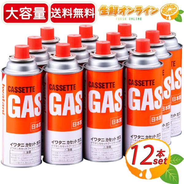 ≪12本入≫【IWATANI】イワタニ カセットガス 日本製 ガスボンベ CB-250-OR-12 ...