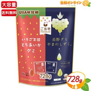 ≪728g≫【UHA味覚糖】ご当地Premium...の商品画像