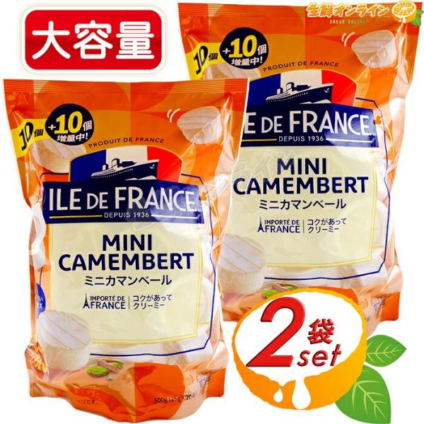 【ILE DE FRANCE】イルドフランス ミニ カマンベールチーズ 大容量 500g (25g×...