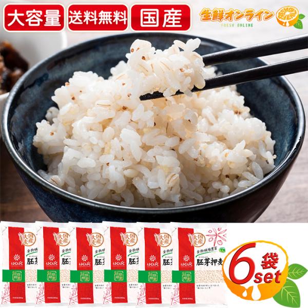 ≪800g×6袋入≫【はくばく】胚芽押麦 大容量 計4800g 食物繊維 水溶性 不溶性 押し麦 白...