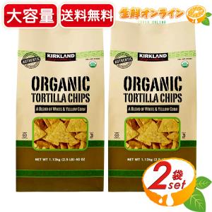 業務用 タコスチップス プレーン (うす塩味) 500g トルティーヤ コーン
