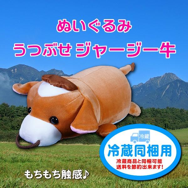 うつぶせ ジャージー牛ぬいぐるみ 冷蔵同梱用