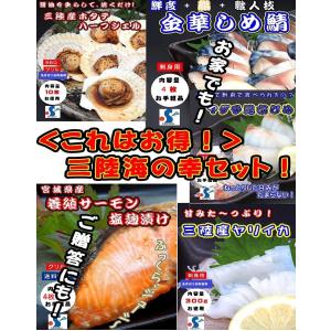 海鮮 ギフト 2024 海鮮 大量 5種 ( ホタテ ヤリイカ 刺身用 しめ鯖 サーモン まだら ) プレゼント 贈答