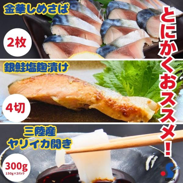 2026 プレゼント 海鮮 3種 ( ヤリイカ 刺身 サーモン 塩麹 しめ鯖 )  贈答 お取り寄せ