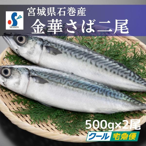 金華さば2尾 料理教室（お魚Cooking講座）で使用している新鮮なサバ 冷凍