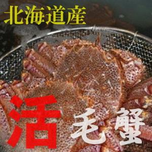 活毛がに　2尾で 900g前後