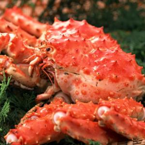 タラバガニむき身 バラ肉 300g×1 北海道...の詳細画像2