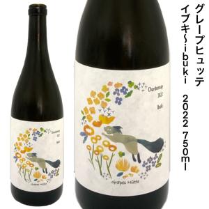 芋焼酎 タイガー＆ドラゴン パープル 四元醸造 25度 1800ml 一升瓶