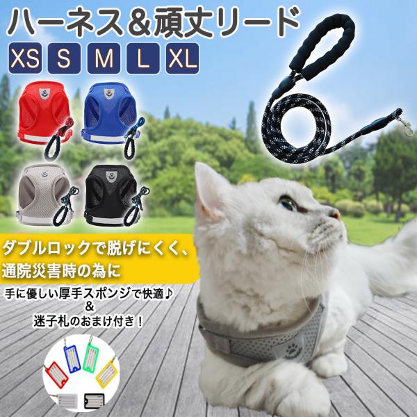 猫 用 の ハーネス リード 散歩 外れない 脱げない ダブルロック  ねこ ネコ 胴輪 子猫