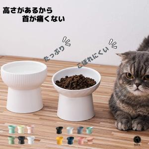 猫 食器 犬  餌 入れ 台 ペット 用 の お 皿「全品2個で5%オフ」フードボウル  陶器 食べやすい 斜め ご飯 容器