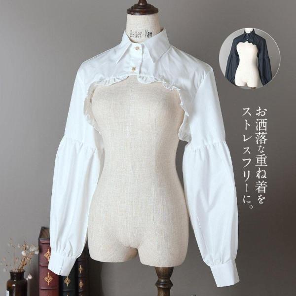 付け襟 レディース 長袖 シャツ フリル 立て襟 普段 可愛い オールシーズン 重ね着 偽襟 レイヤ...