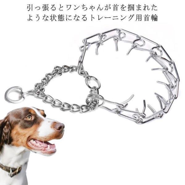 犬 引っ張り防止 首輪 しつけ 訓練 しつけ用カラー チェーンカラー チタン製 小型犬 中型犬 大型...