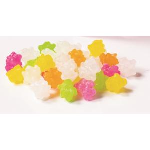 お配り用こんぺいとうプチギフト はんなり金平糖...の詳細画像1
