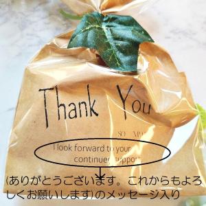 お配り用プチギフト Thank you サンク...の詳細画像5