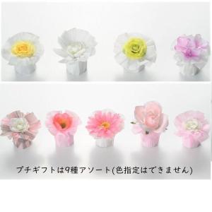 ドラジェプチギフト マシェリ 1個の詳細画像4