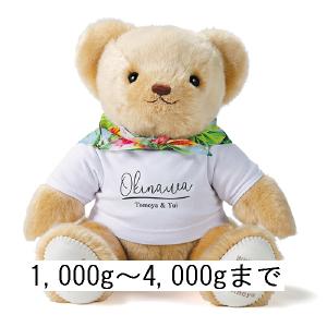 2体でお得体重ウエイトベア キャメリー沖縄男の...の詳細画像3