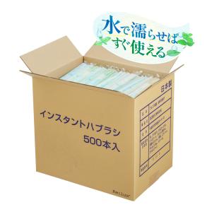 便利 インスタントハブラシ 500本 業務用 粉...の商品画像