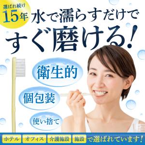 便利 インスタントハブラシ 500本 業務用 ...の詳細画像1