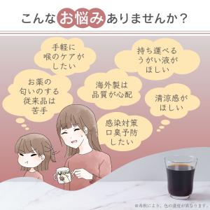 うがい ファンガーグル 250ml 洗口液 2...の詳細画像4