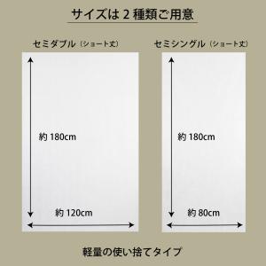 ペーパーシーツ 業務用 防水 不織布 セミダブ...の詳細画像3
