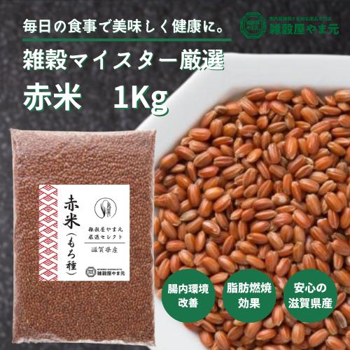 滋賀県産 赤米(もち種) 1kg 送料無料