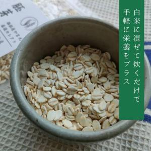 国内産 胚芽押麦 チャック付き 【麦ごはん お...の詳細画像2