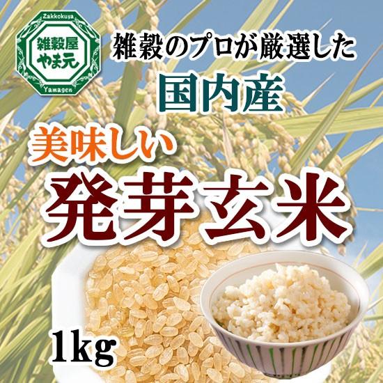 国内産 発芽玄米 1kg 送料無料