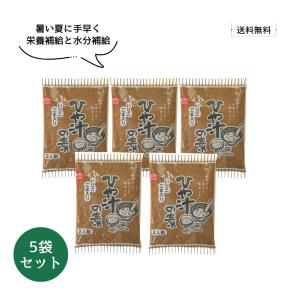 【送料無料】宮崎郷土料理 ひや汁の素 75g(2...の商品画像