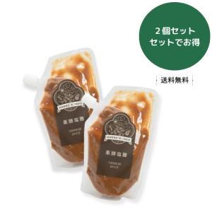 HAKKORONDO 玉ねぎ麹・薬膳麹 選べる...の詳細画像2