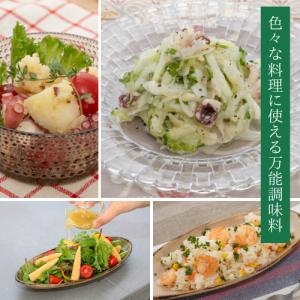 【送料無料】HAKKO RONDO 玉ねぎ麹 ...の詳細画像2
